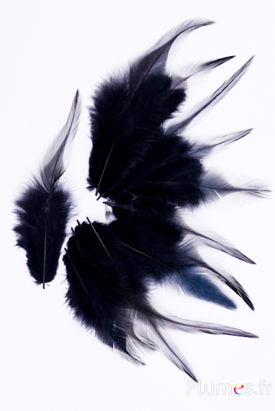 Coq - 8-12 cm - noir